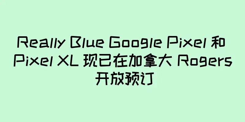 Really Blue Google Pixel 和 Pixel XL 现已在加拿大 Rogers 开放预订