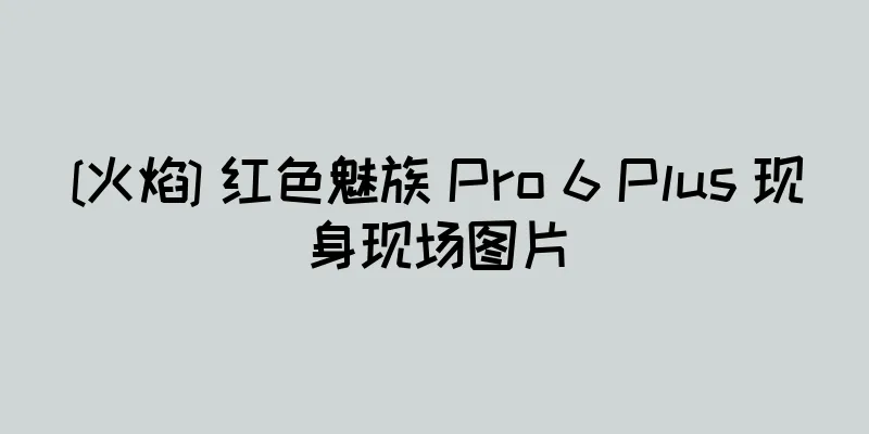 [火焰] 红色魅族 Pro 6 Plus 现身现场图片