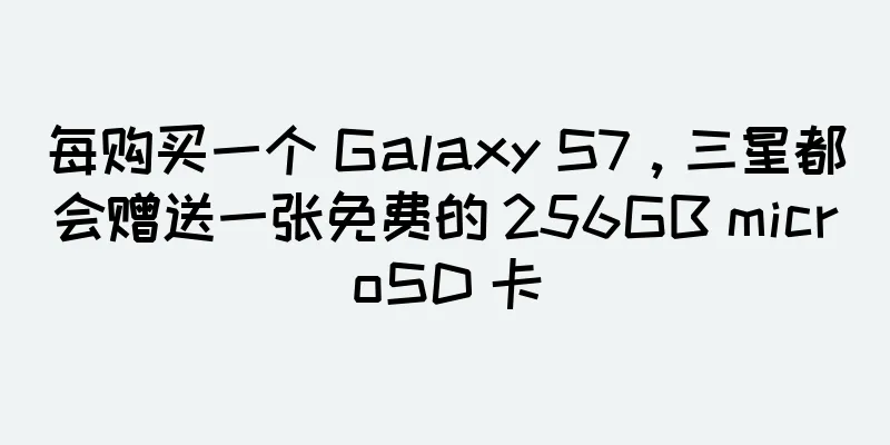 每购买一个 Galaxy S7，三星都会赠送一张免费的 256GB microSD 卡