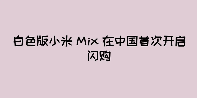 白色版小米 Mix 在中国首次开启闪购
