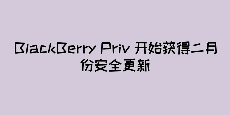 BlackBerry Priv 开始获得二月份安全更新