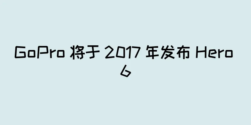 GoPro 将于 2017 年发布 Hero 6