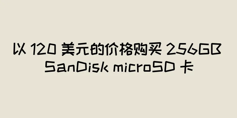 以 120 美元的价格购买 256GB SanDisk microSD 卡
