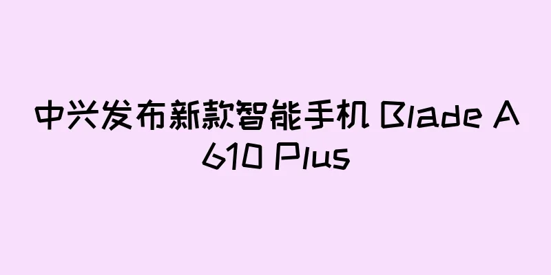 中兴发布新款智能手机 Blade A610 Plus