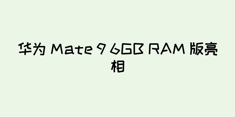 华为 Mate 9 6GB RAM 版亮相