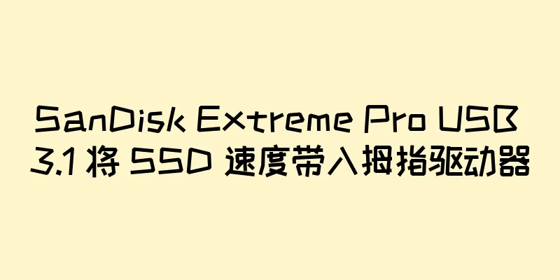 SanDisk Extreme Pro USB 3.1 将 SSD 速度带入拇指驱动器