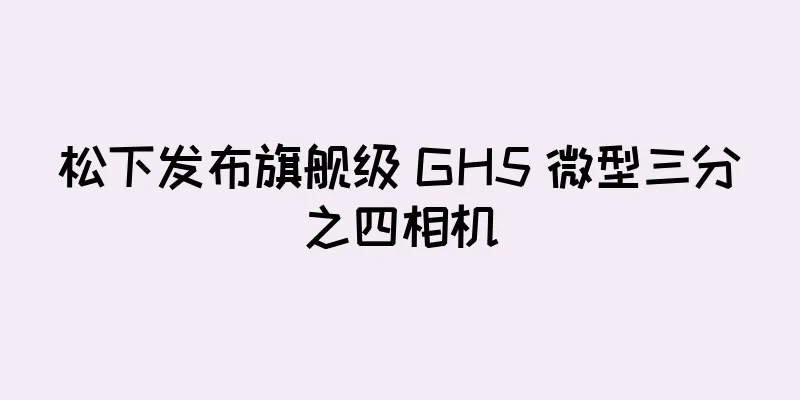 松下发布旗舰级 GH5 微型三分之四相机