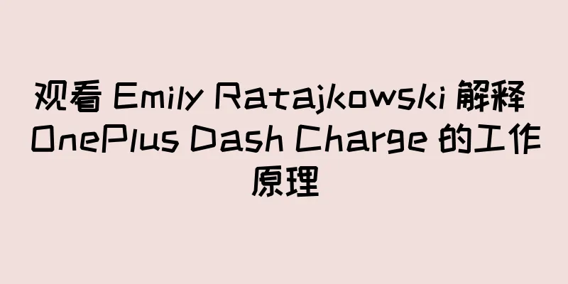观看 Emily Ratajkowski 解释 OnePlus Dash Charge 的工作原理