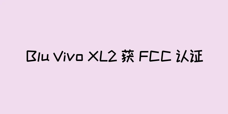 Blu Vivo XL2 获 FCC 认证