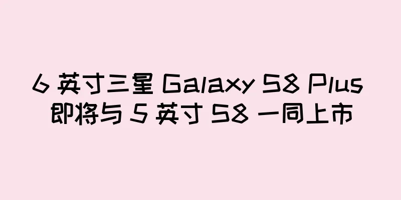 6 英寸三星 Galaxy S8 Plus 即将与 5 英寸 S8 一同上市