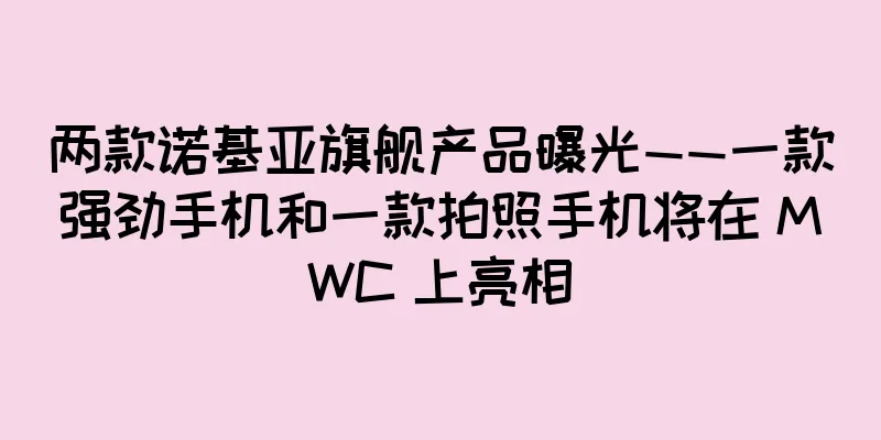 两款诺基亚旗舰产品曝光——一款强劲手机和一款拍照手机将在 MWC 上亮相