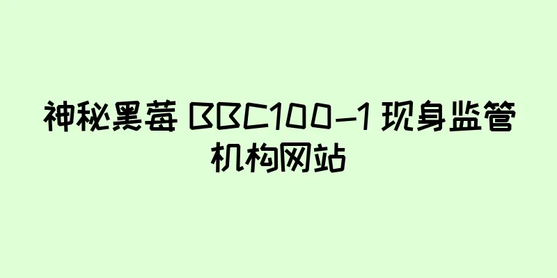 神秘黑莓 BBC100-1 现身监管机构网站