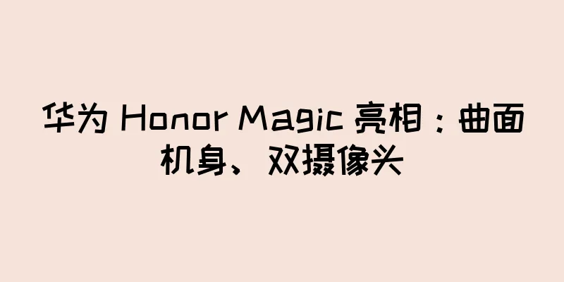 华为 Honor Magic 亮相：曲面机身、双摄像头