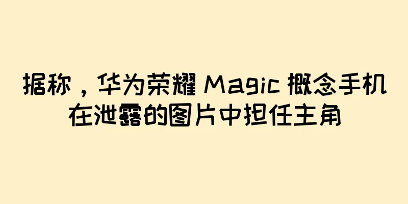 据称，华为荣耀 Magic 概念手机在泄露的图片中担任主角