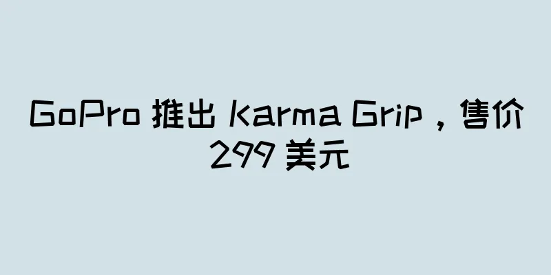 GoPro 推出 Karma Grip，售价 299 美元