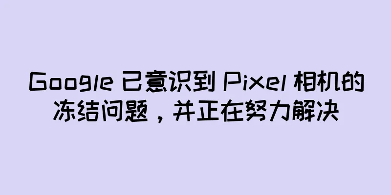Google 已意识到 Pixel 相机的冻结问题，并正在努力解决