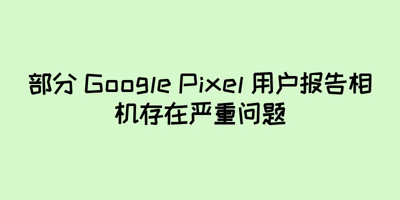 部分 Google Pixel 用户报告相机存在严重问题