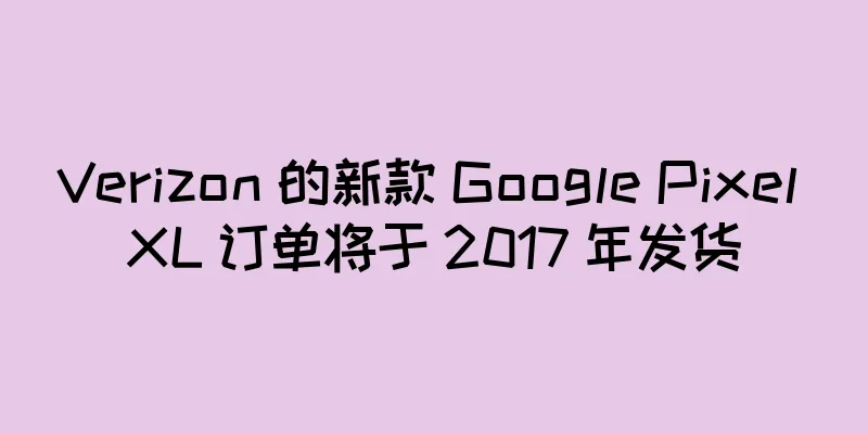 Verizon 的新款 Google Pixel XL 订单将于 2017 年发货