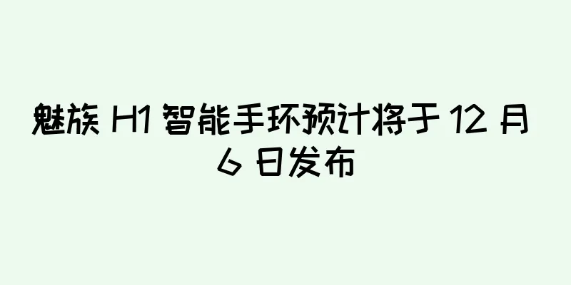 魅族 H1 智能手环预计将于 12 月 6 日发布