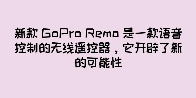 新款 GoPro Remo 是一款语音控制的无线遥控器，它开辟了新的可能性