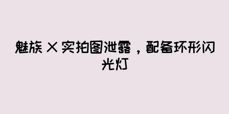 魅族 X 实拍图泄露，配备环形闪光灯