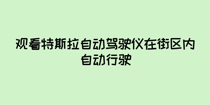 观看特斯拉自动驾驶仪在街区内自动行驶