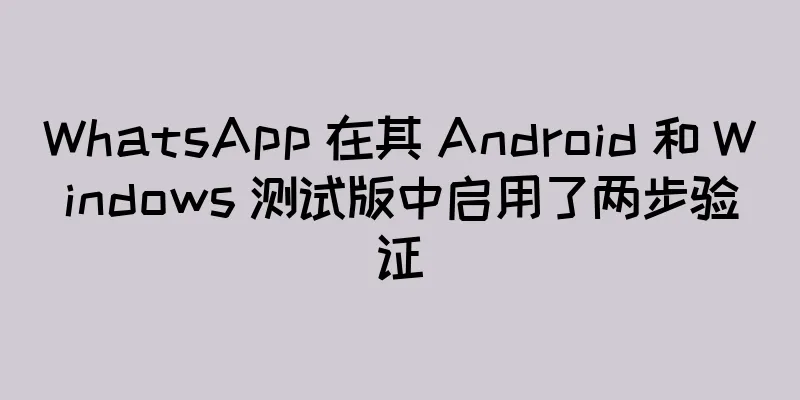 WhatsApp 在其 Android 和 Windows 测试版中启用了两步验证