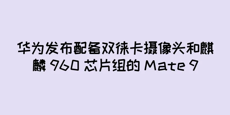 华为发布配备双徕卡摄像头和麒麟 960 芯片组的 Mate 9