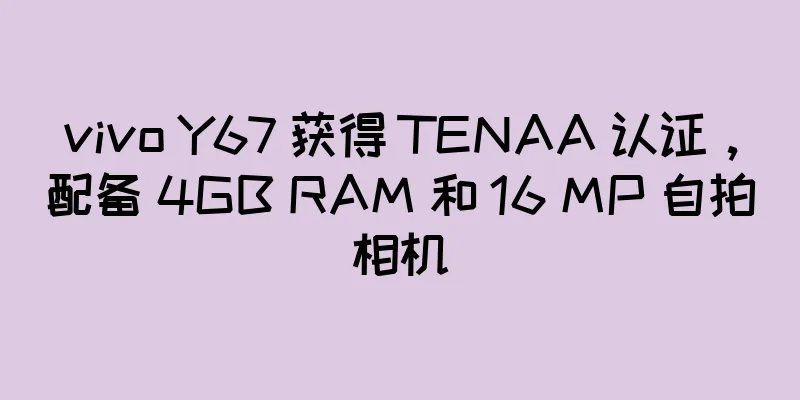vivo Y67 获得 TENAA 认证，配备 4GB RAM 和 16 MP 自拍相机