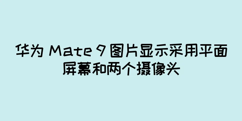 华为 Mate 9 图片显示采用平面屏幕和两个摄像头