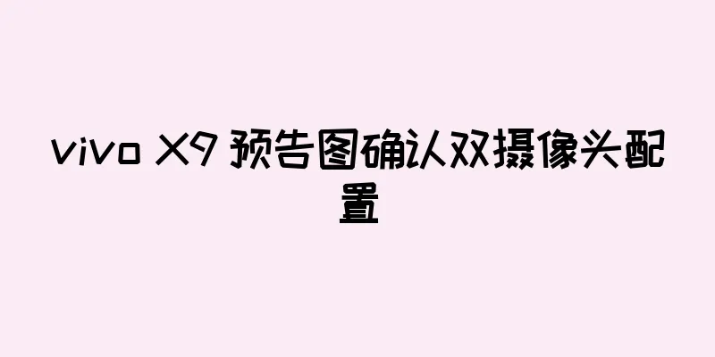 vivo X9 预告图确认双摄像头配置