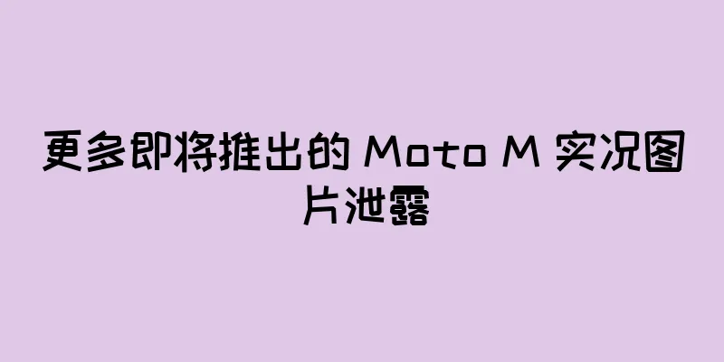 更多即将推出的 Moto M 实况图片泄露