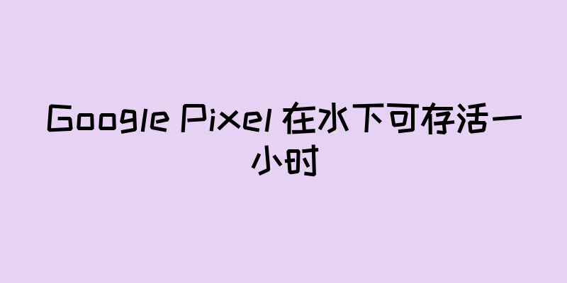 Google Pixel 在水下可存活一小时