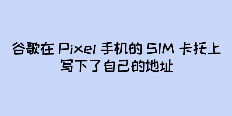 谷歌在 Pixel 手机的 SIM 卡托上写下了自己的地址