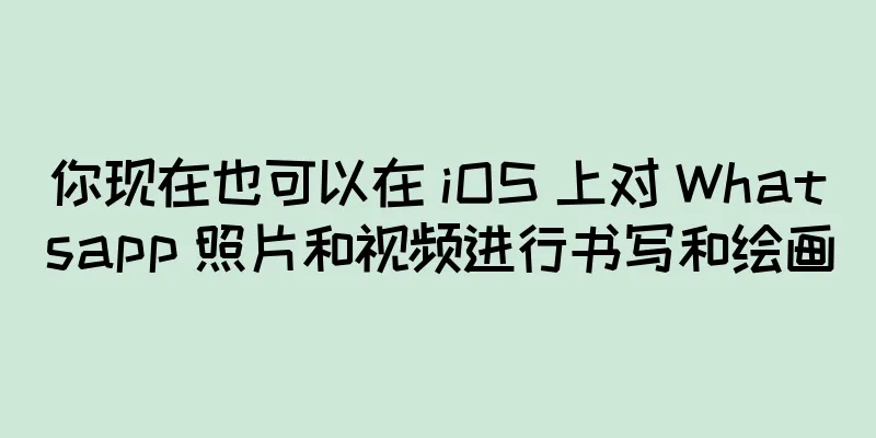 你现在也可以在 iOS 上对 Whatsapp 照片和视频进行书写和绘画