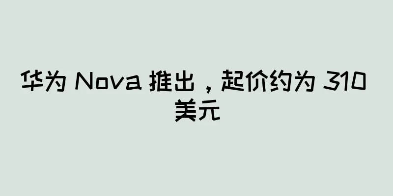 华为 Nova 推出，起价约为 310 美元