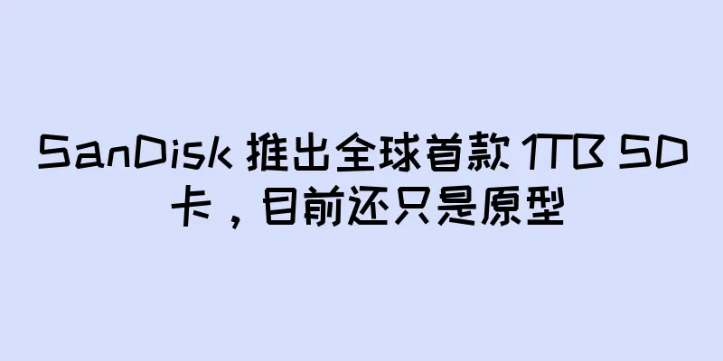 SanDisk 推出全球首款 1TB SD 卡，目前还只是原型