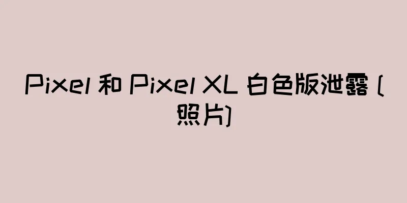 Pixel 和 Pixel XL 白色版泄露 [照片]