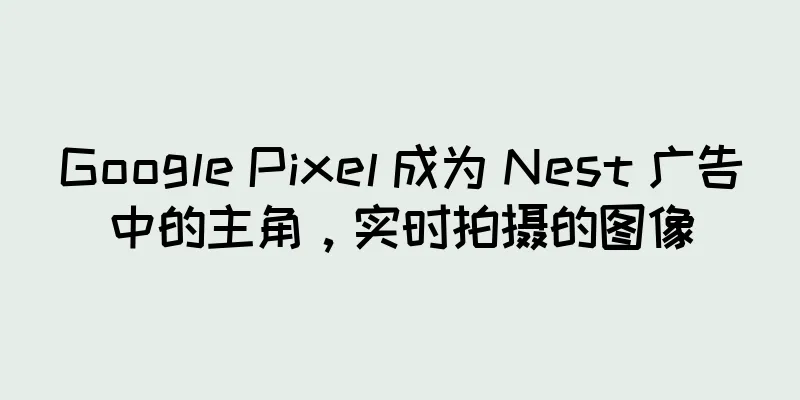 Google Pixel 成为 Nest 广告中的主角，实时拍摄的图像