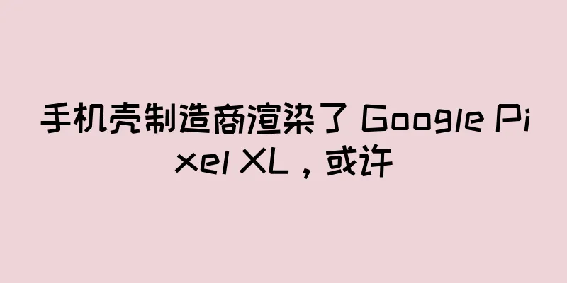 手机壳制造商渲染了 Google Pixel XL，或许