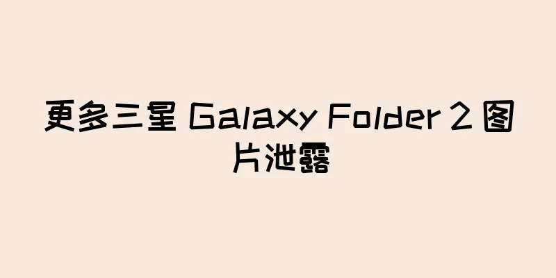 更多三星 Galaxy Folder 2 图片泄露