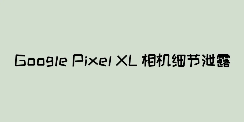 Google Pixel XL 相机细节泄露