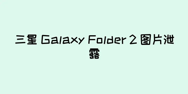 三星 Galaxy Folder 2 图片泄露