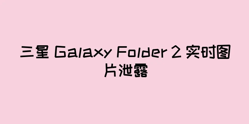三星 Galaxy Folder 2 实时图片泄露