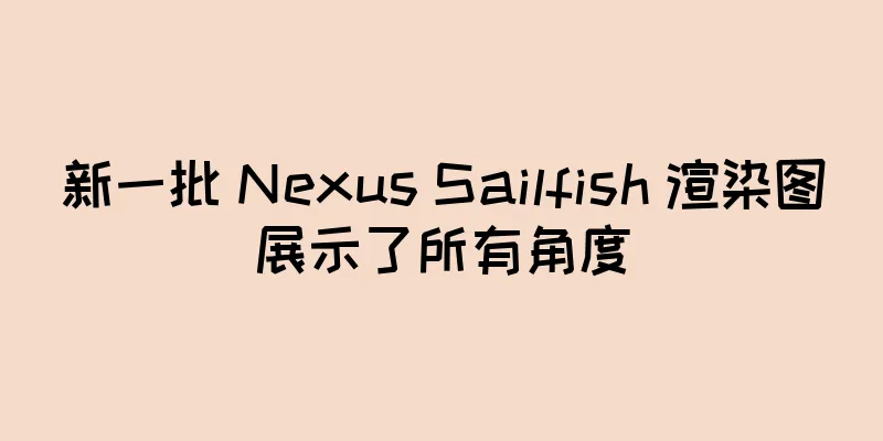 新一批 Nexus Sailfish 渲染图展示了所有角度