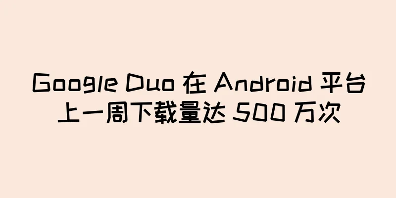 Google Duo 在 Android 平台上一周下载量达 500 万次