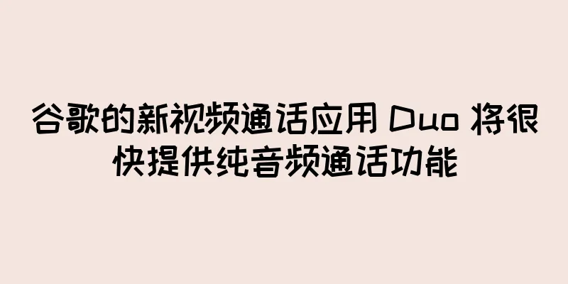谷歌的新视频通话应用 Duo 将很快提供纯音频通话功能