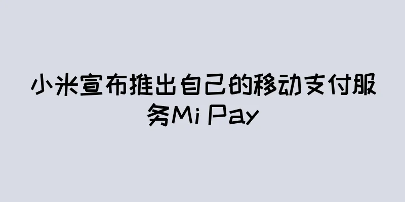 小米宣布推出自己的移动支付服务Mi Pay
