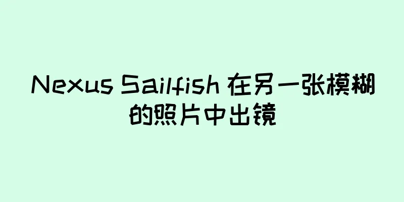 Nexus Sailfish 在另一张模糊的照片中出镜