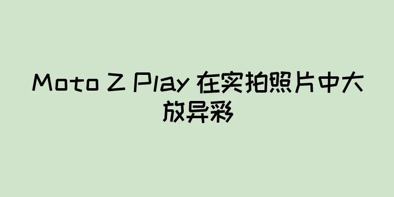 Moto Z Play 在实拍照片中大放异彩